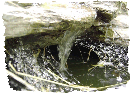 Wasser verrint, Steine bleiben.